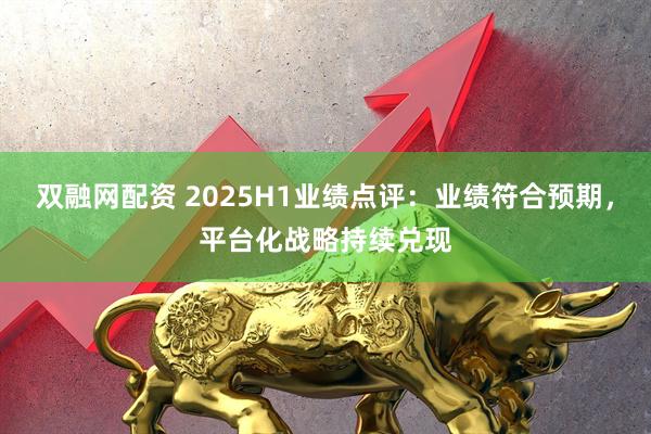 双融网配资 2025H1业绩点评：业绩符合预期，平台化战略持续兑现