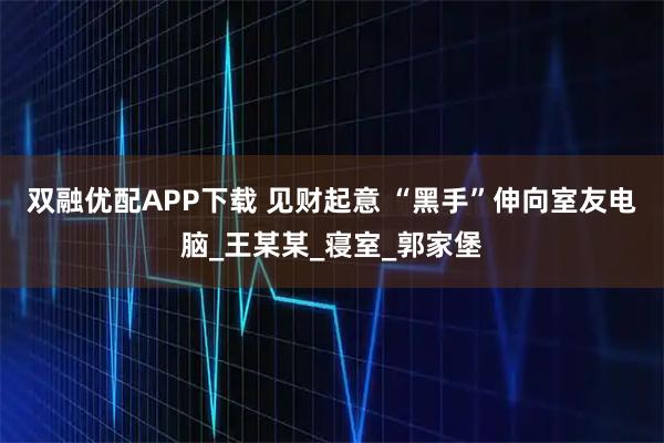 双融优配APP下载 见财起意 “黑手”伸向室友电脑_王某某_寝室_郭家堡