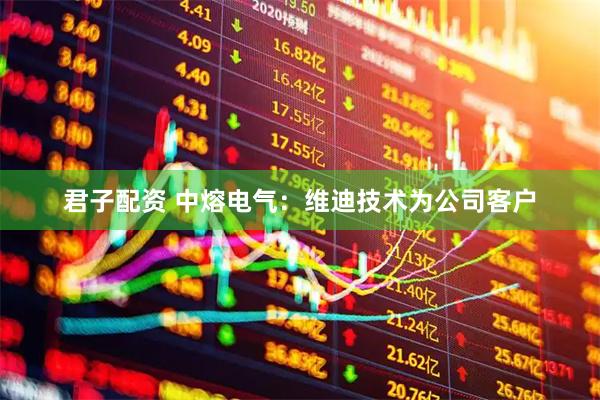 君子配资 中熔电气：维迪技术为公司客户